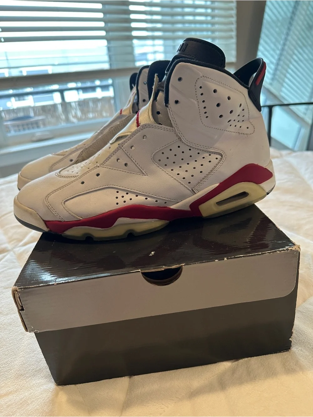 2010 Jordan Air Jordan 6 Retro in White, Red and Black
